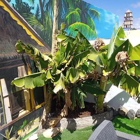 Sunshine * Коральео