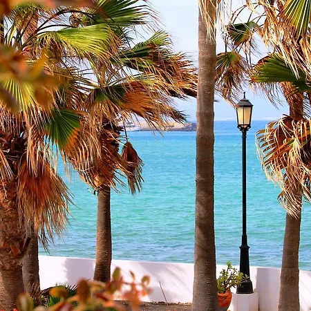 Sunshine * Коральео