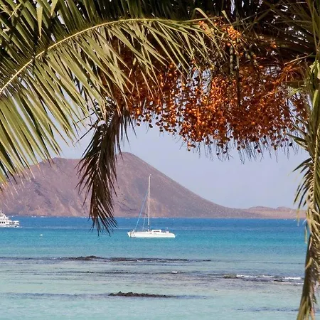 Sunshine Коральео